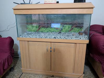 4 Feet Aquarium For Sale In Karachi