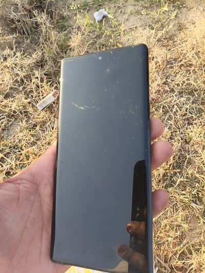 Google Pixel 6 Pro Panel