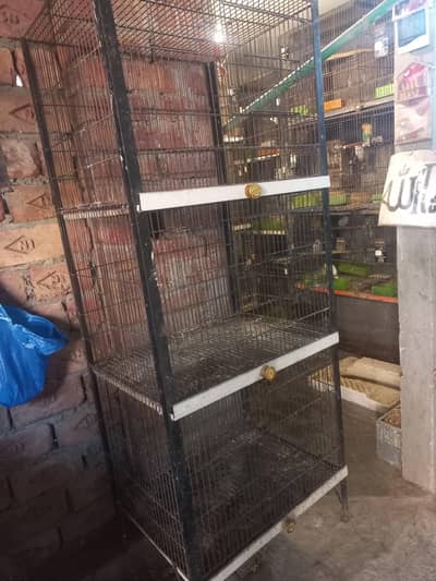 BIRD CAGE