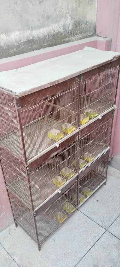 Heavy Strong Cage Available For Sale. . . .