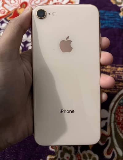 iPhone Ka panal Chaya original