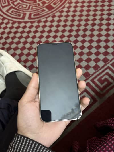 Iphone 12 pro max 256gb pta approved