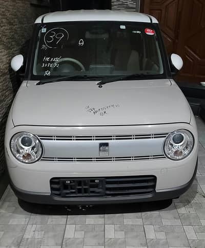 Alto Lapin X Package Top Of Line