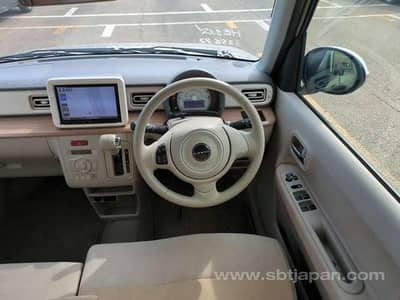 Alto Lapin X Package Top Of Line