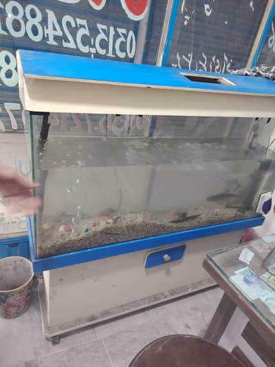 fish aquarium for sale urgently 03105968382 WhatsApp contact