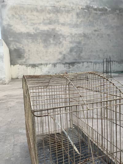 Birds cage house