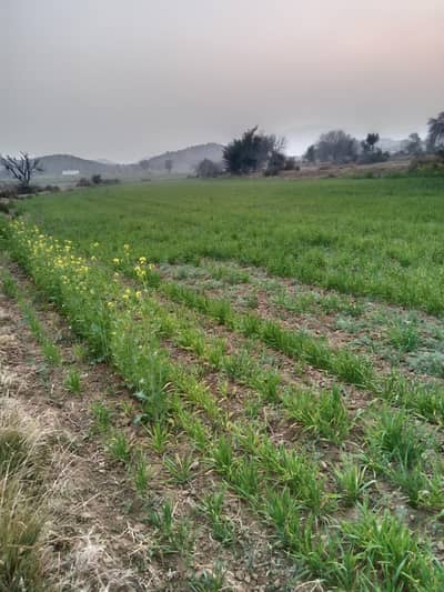 Land ifor sale in Attock 03130026074