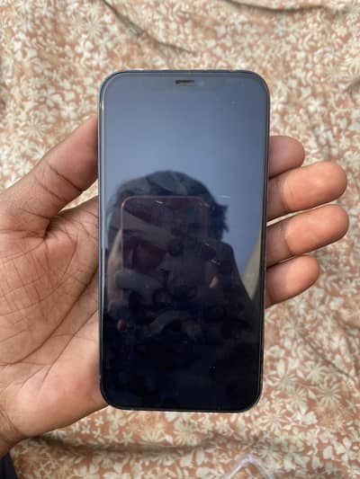 iPhone 12 All original