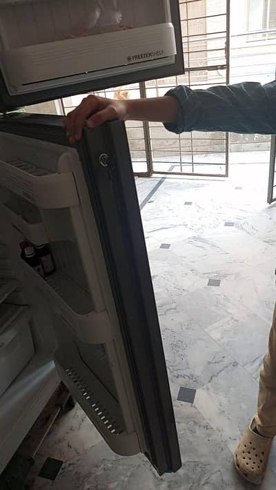 seling print refrigerator new candishn