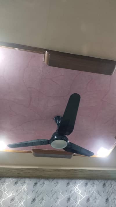 Furnished Room for rent