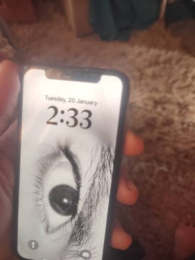 iPhone XS 256 Gb bp