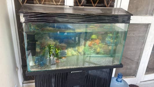 aquatium in very good condition 3 feet with fishs and waterpump
