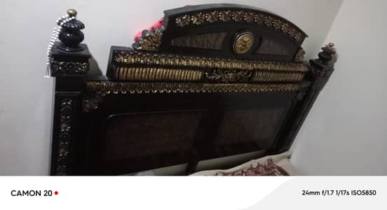 black and dark brown