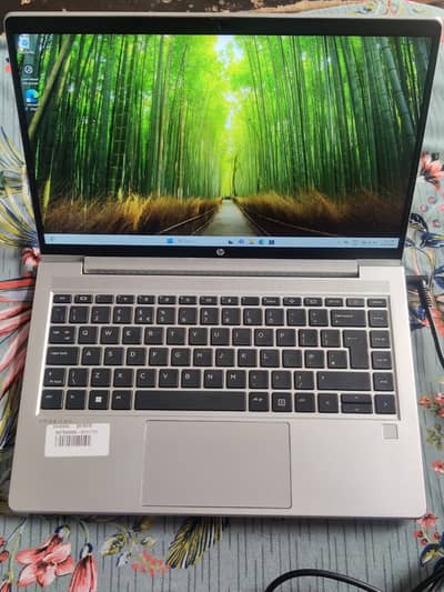 HP PROBOOK G10 13thGEN Ryzen 5 7530U 14" 4K Display 8GB-RAM 256GB NVMe