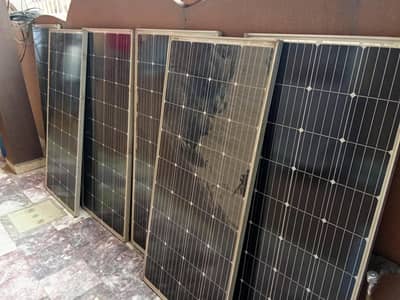 risen solar panels