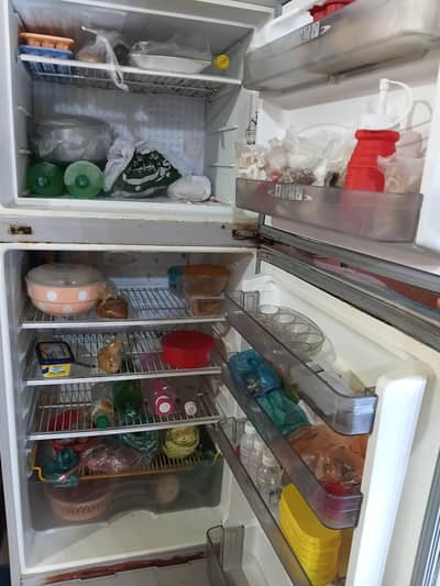refrigerator