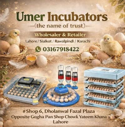 Eggs incubator | Hatching machine | automictic incubator | Brooder