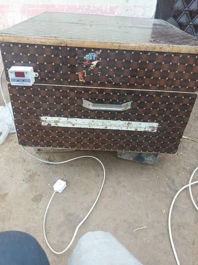 150 egg Capacity incubator