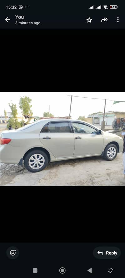 Bumper to bumper Geniun