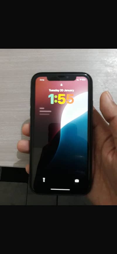 iPhone XR
