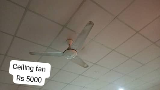 ceilinf fan
