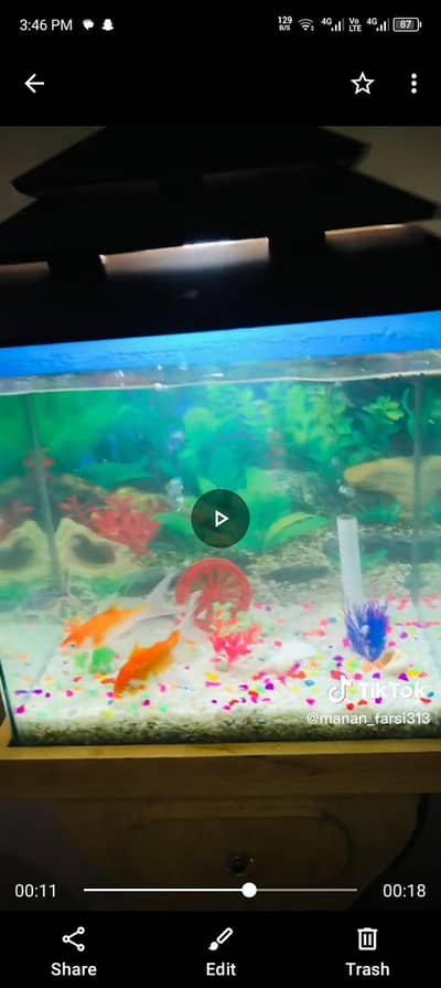 Fish aquarium with all accessories