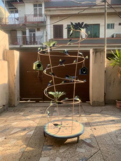 Aesthetic Outdoor Bird Santuary