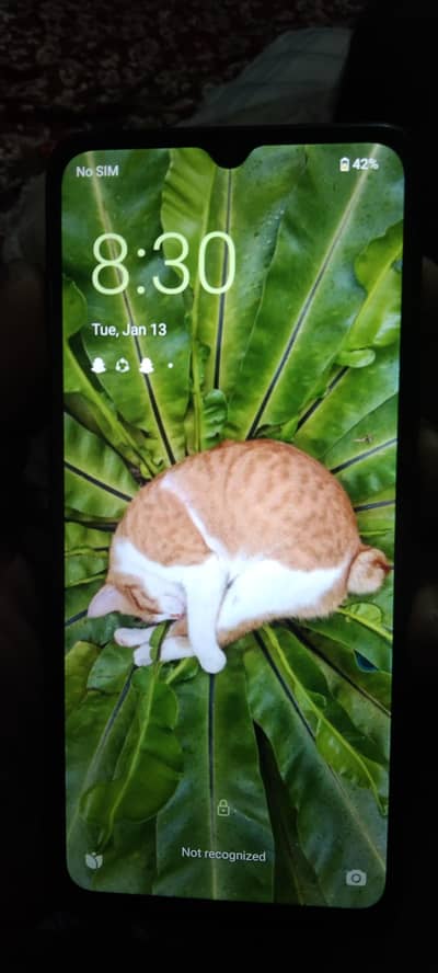 redme a3 model bulkul ok