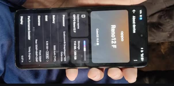 oppo reno 12 f 8+8/256 4g