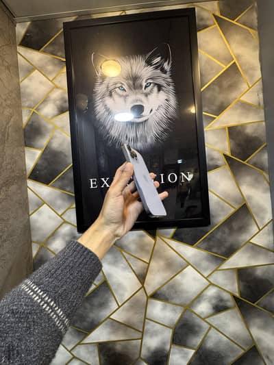 iphone 13 pro max pta approved