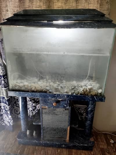 Fish Aquarium