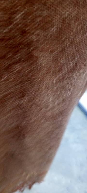 3 Marla lower portion for rant in Al hamd park 1 near Awan town Multan road lahore