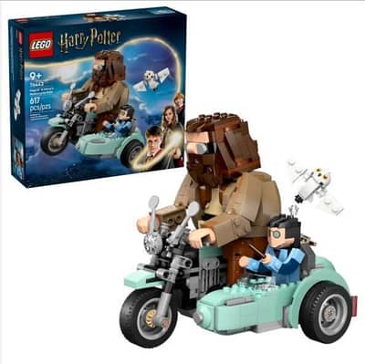 LEGO® Harry Potter #76443