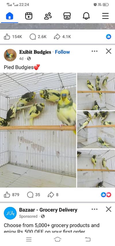 Boy required For Shop work