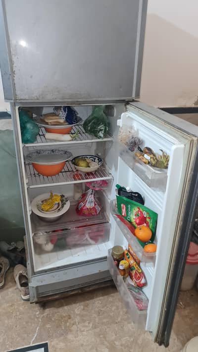 PEL Medium Size Refrigerator for Sale