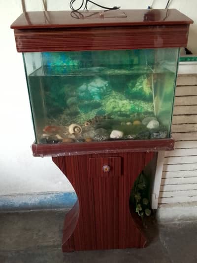 aquarium