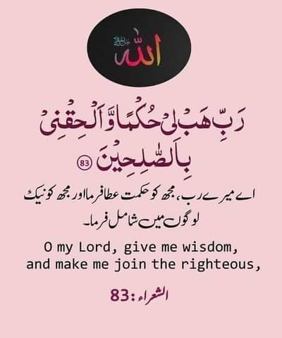 Branded Covers S24 Ultra