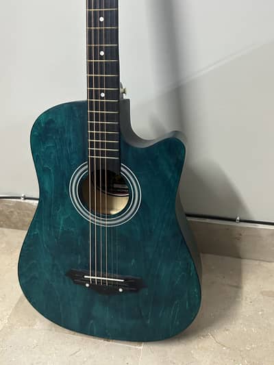 SWIFT HORSE ACOUSTIC GUITAR 38 INCH