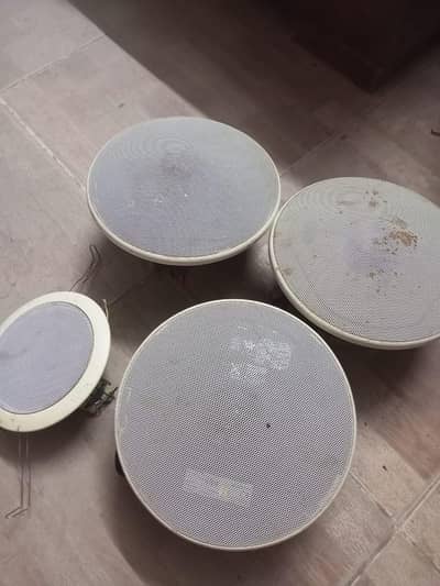 Ceiling Speaker For Sale