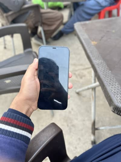 Apple iPhone 12 Pro Max