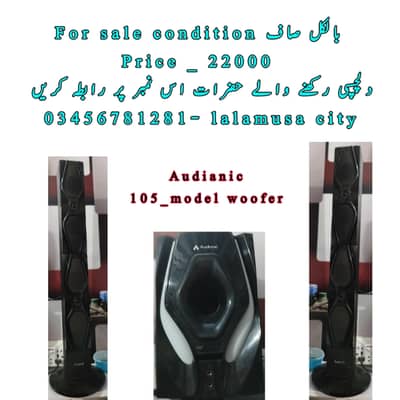 audionic speaker model number_105