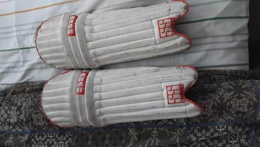 SS Cricket pads