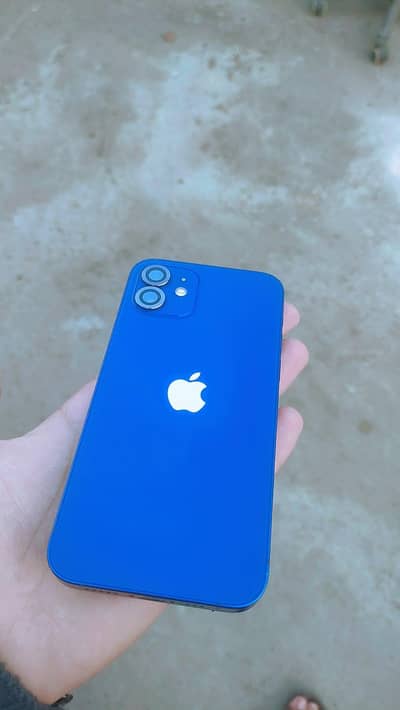 i phone 12 (128 GB) (Face id true tone ok