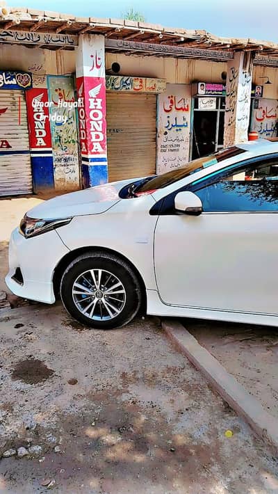 gli sapical addiction bummer to bumper janvan  original bumper be sath