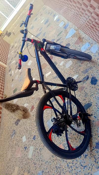 Bicycle for sale
