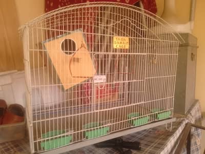 birds big  cage