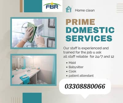 Maid,Babysitter, Cook,Patient attendant,Driver, Helper,Nurses