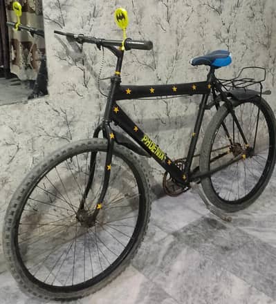 Phoenix Cycle 26 size ok condition