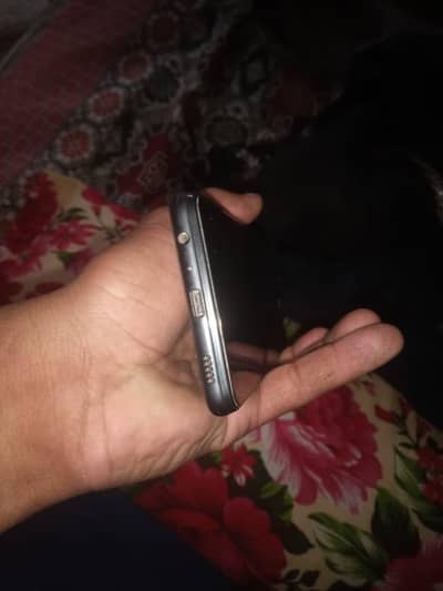 samsung a22 6gb 128gb dual sim official pta