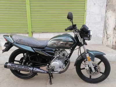 2023 model All punjab number